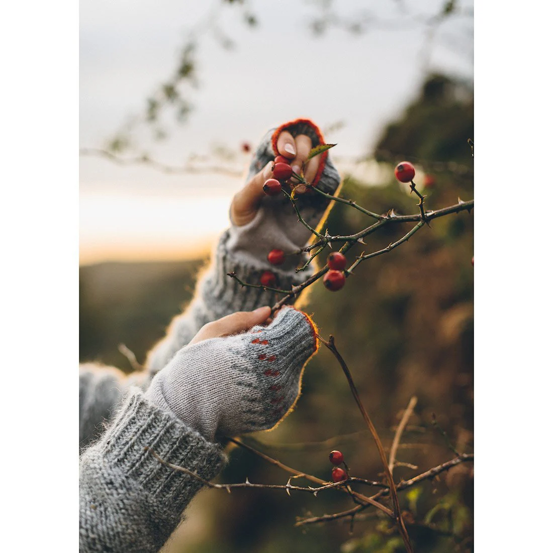 Persimmon Lambswool Wrist Warmers