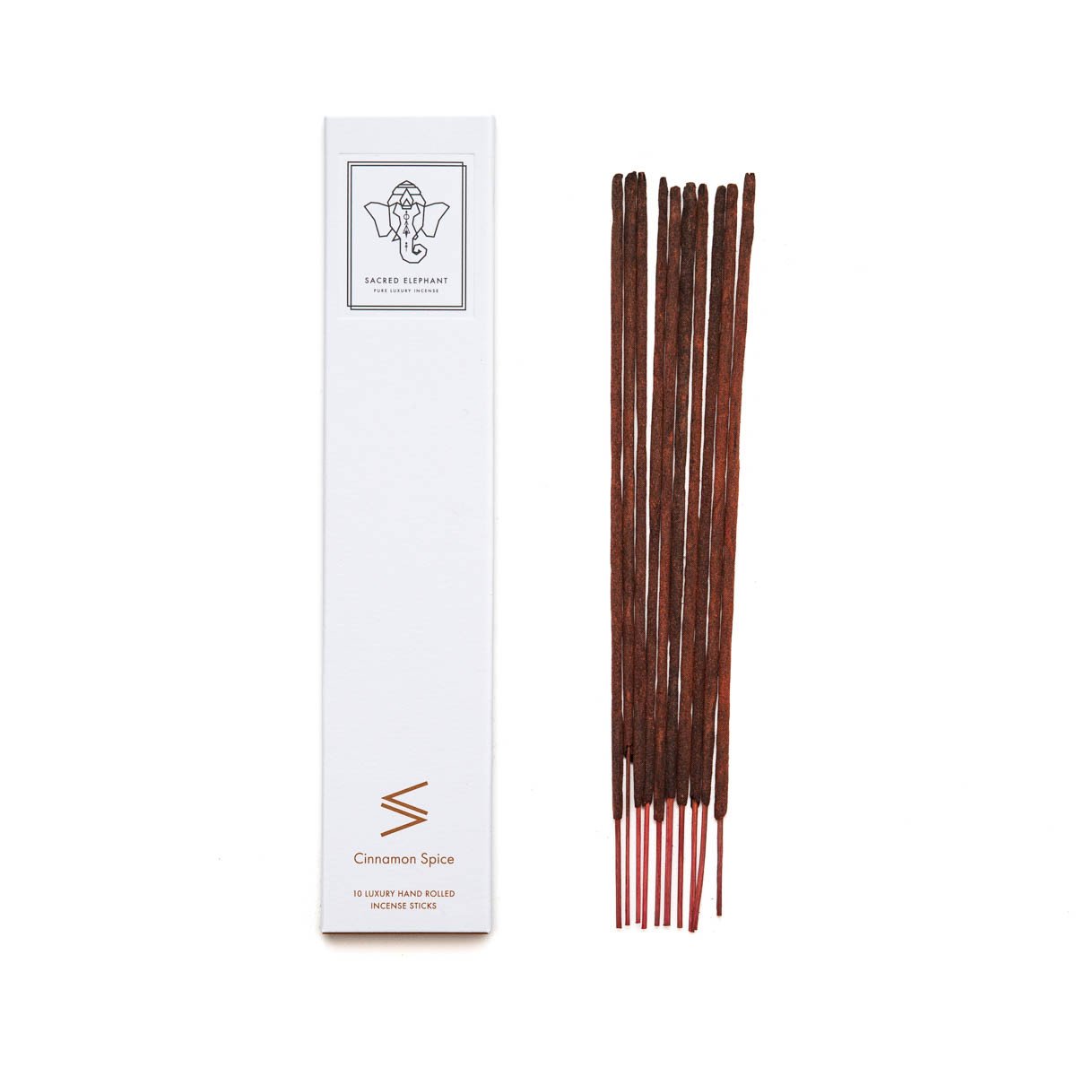 Cinnamon Spice Pure Incense Sticks - The Future Kept - 1