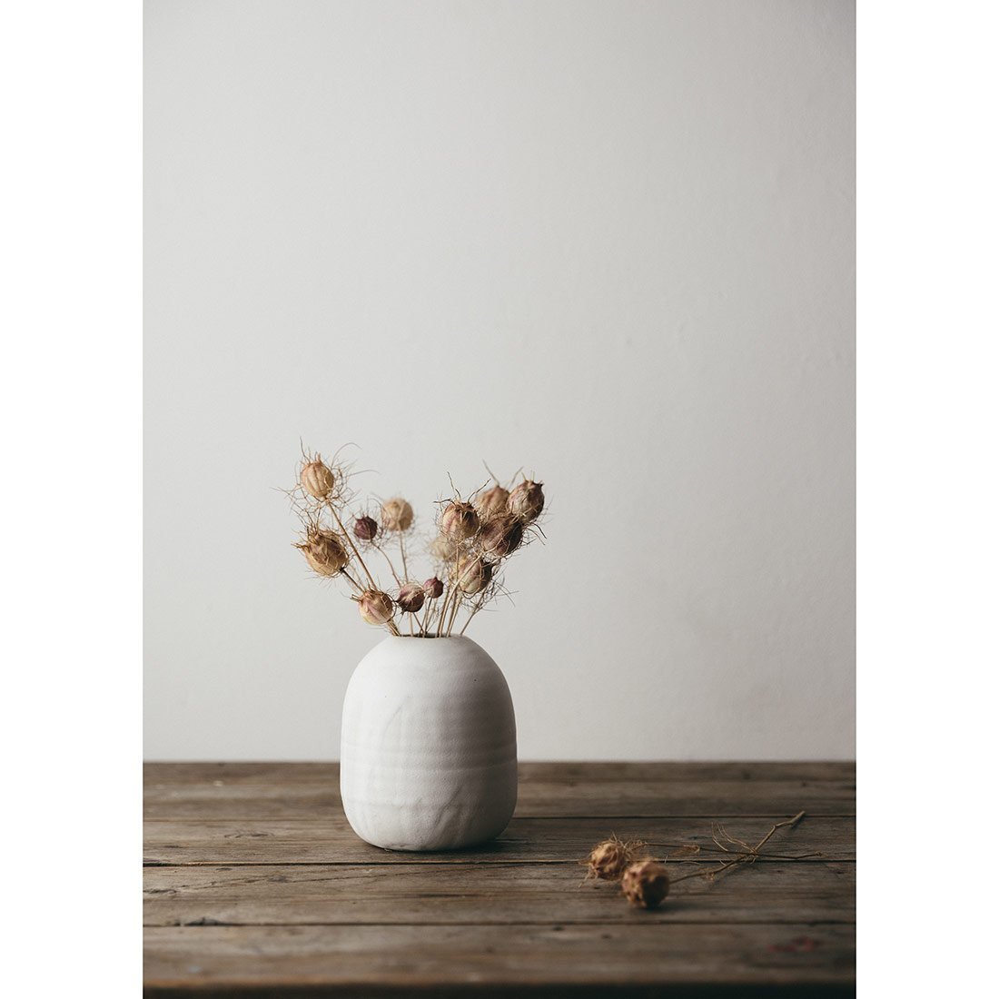 Medium Ceramic Paperwhite Vase